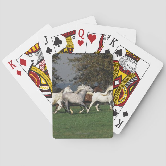 Arabs Running in Field Poker Cards (Back)