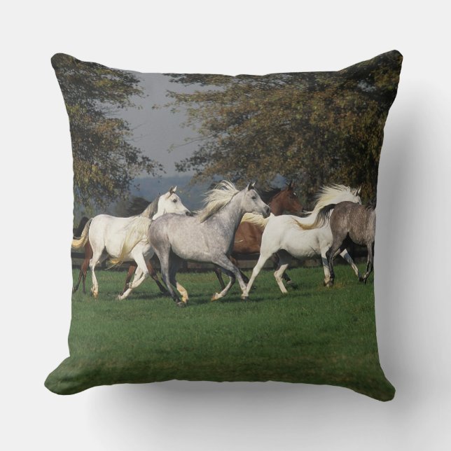 Arabs Running in Field Throw Pillow (Front)