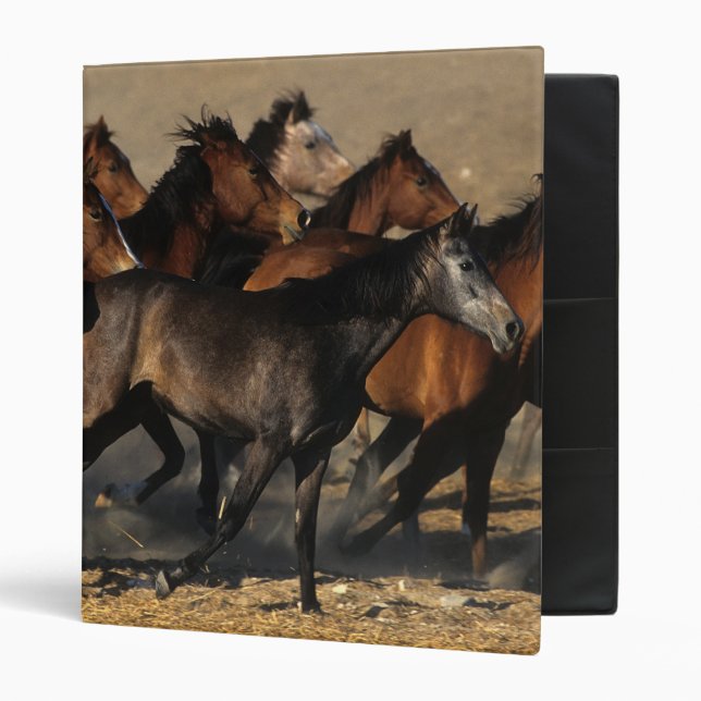 Arabs Running in the Desert Binder (Front/Inside)