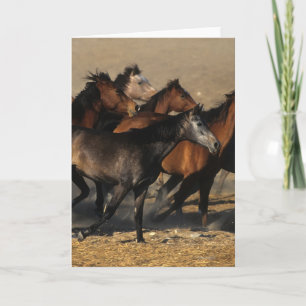 Arabs Running in the Desert Card