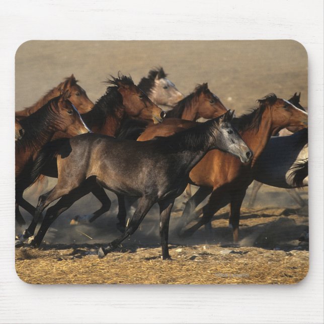 Arabs Running in the Desert Mouse Pad (Front)