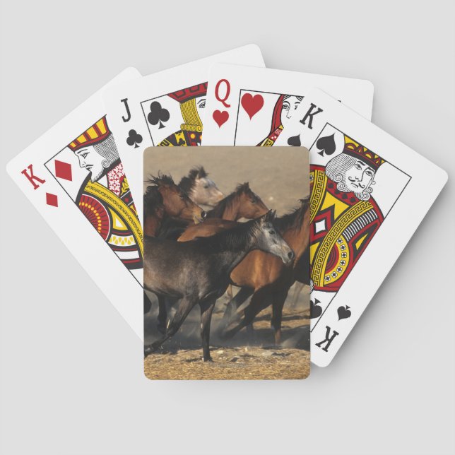 Arabs Running in the Desert Poker Cards (Back)