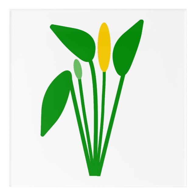 Araceae Acrylic Wall Art (Front)