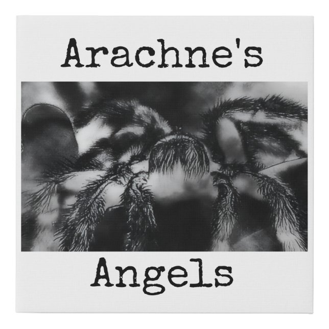 Arachne's Angels 1 Faux Canvas Print (Front)
