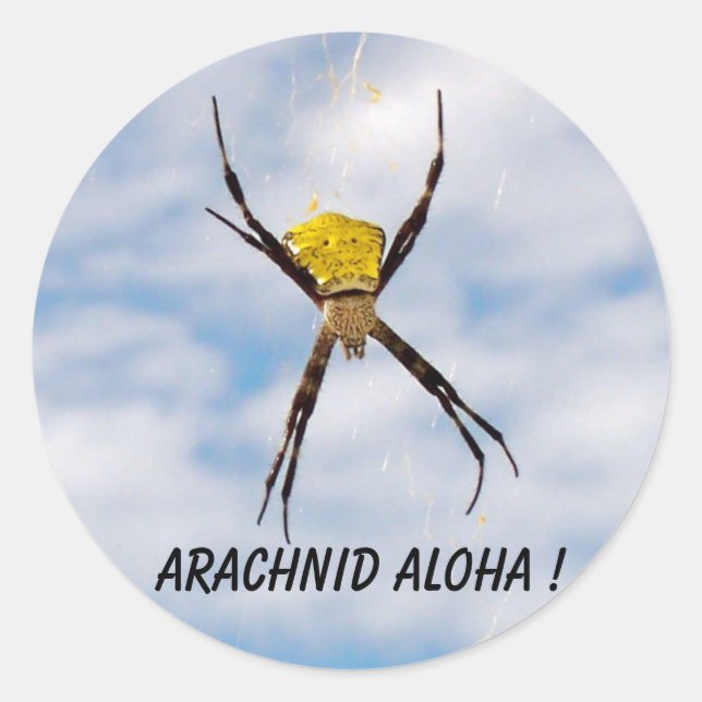 Arachnid Aloha Hawaiian Garden Spider Classic Round Sticker (Front)