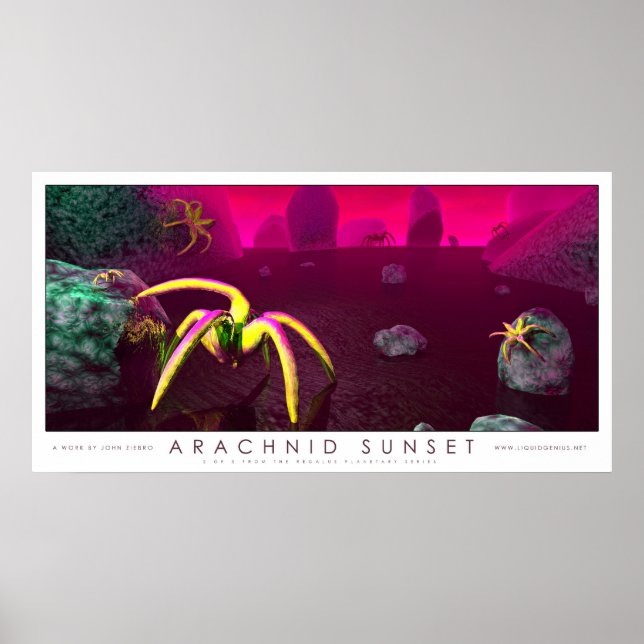 Arachnid Sunset Poster (Front)