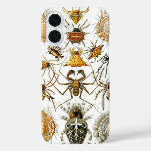 Arachnids by Haeckel vintage spider illustration iPhone 16 Case