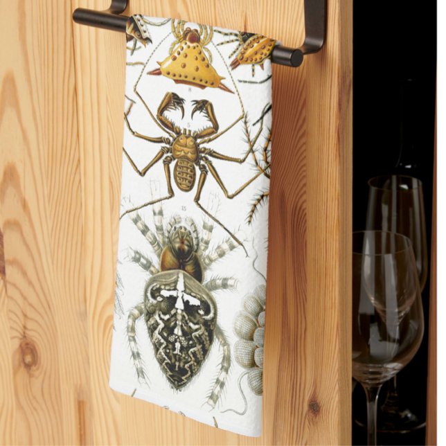 Arachnids by Haeckel vintage spider illustration  Kitchen Towel (Creator Uploaded)