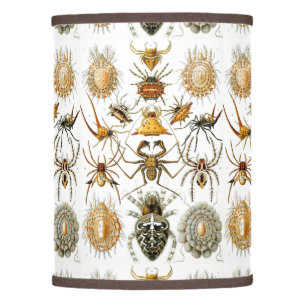 Arachnids by Haeckel vintage spider illustration  Lamp Shade