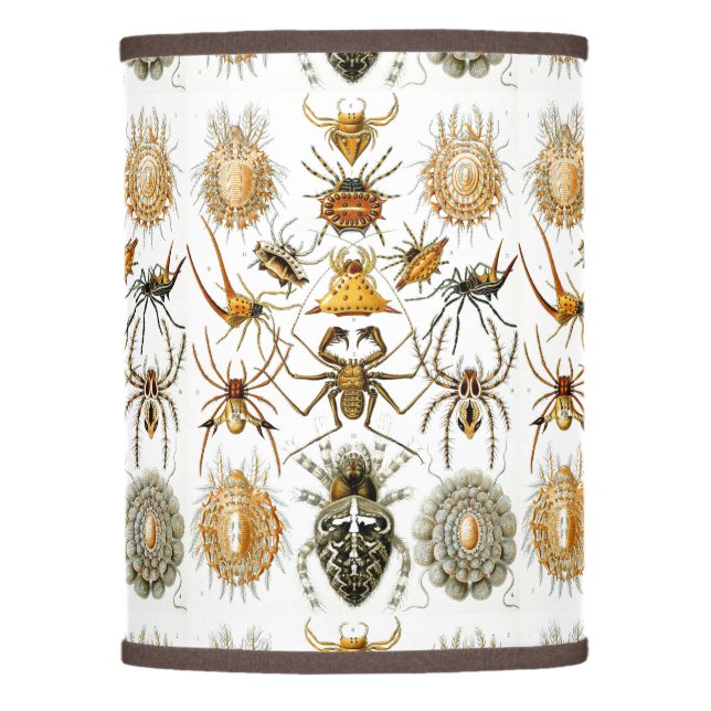 Arachnids by Haeckel vintage spider illustration  Lamp Shade (Front)
