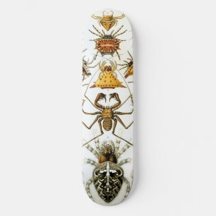 Arachnids by Haeckel vintage spider illustration Skateboard