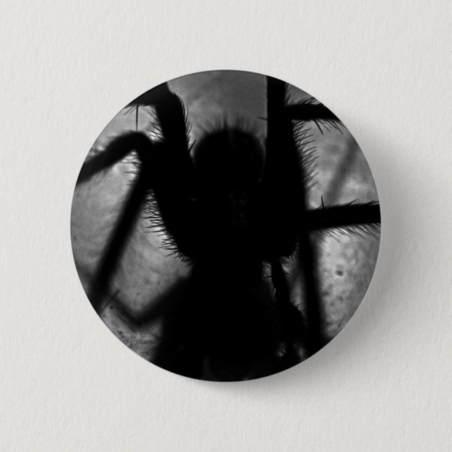 Arachnophobia... Pinback Button (Front)