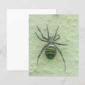 Araignee spider (Front/Back)