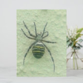 Araignee spider (Standing Front)