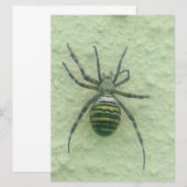 Araignee spider (Front/Back)