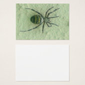 Araignee spider (Front & Back)