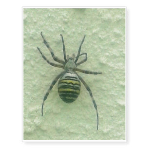 Araignee spider temporary tattoos