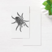 Aranea Avicularia, Black Cuban Spider (Desk)