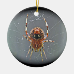 Araneus Orb Weaver Spider Christmas Ornament
