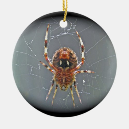Araneus Orb Weaver Spider Christmas Ornament