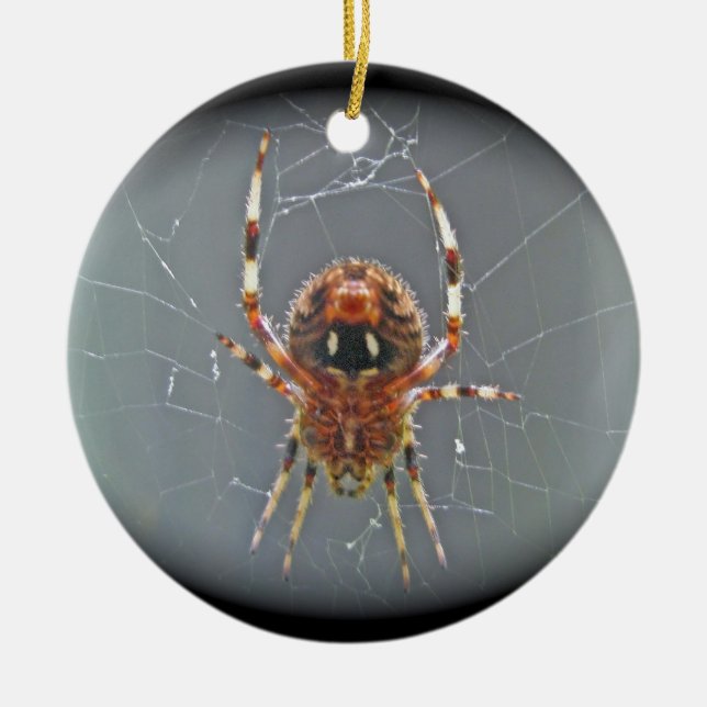 Araneus Orb Weaver Spider Christmas Ornament (Front)