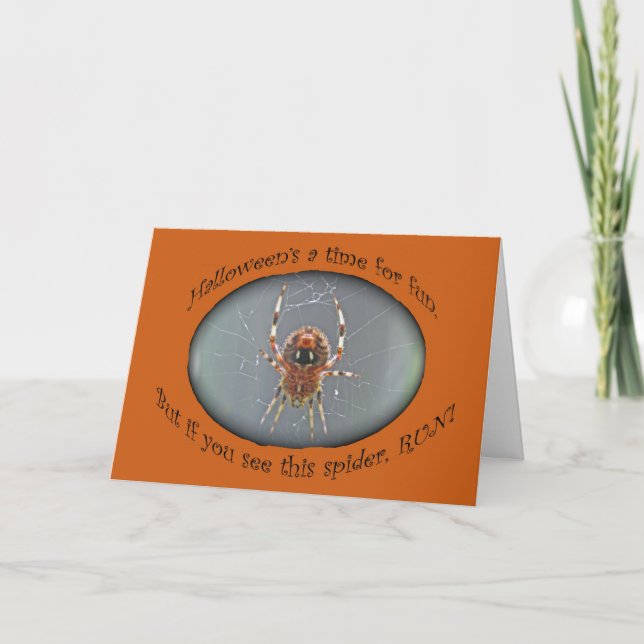 Araneus Orb Weaver Spider Halloween Card (Front)