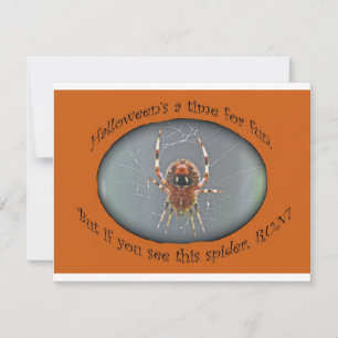 Araneus Orb Weaver Spider Halloween Invitation