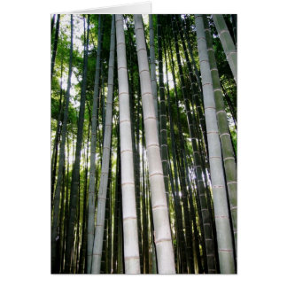 Arashiya Bamboo Forest Cards