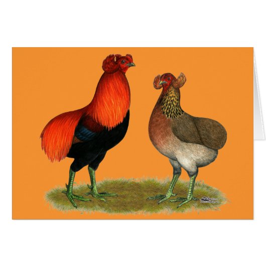 Araucana Red Pair Cards (Front Horizontal)