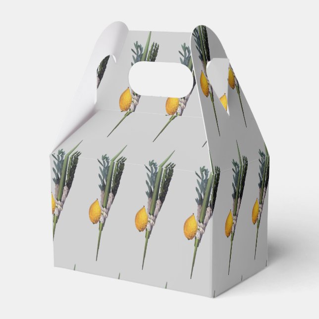Arba Minim - Lulav, Esrog, Hadas, & Aravah Favor Boxes (Back Side)