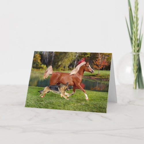 Arbella  Butch Greeting Card