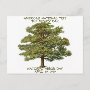 ARBOR DAY NATIONAL POSTCARD