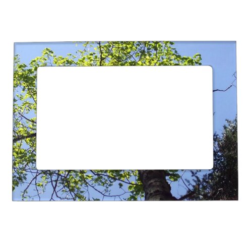 Arbor Day_Trees  Blue Sky Scene Magnetic Picture F Magnetic Frame