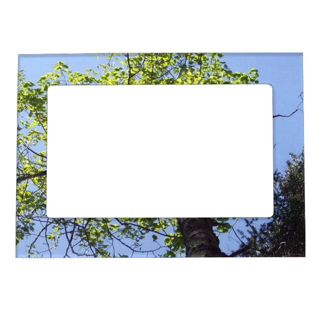 Arbor Day-Trees  Blue Sky Scene Magnetic Picture F Magnetic Frame (Front)