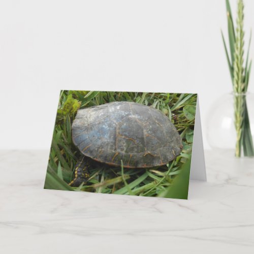 Arboretum Painted Turtle Thank You Card