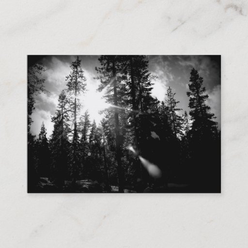 Customizable Arboriculture Business Card