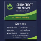 Arborist Tree Trimming Service Professional