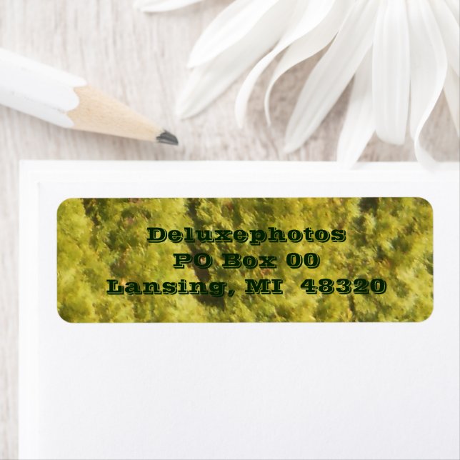 Arborvitae Evergreen Trees Label (Insitu)