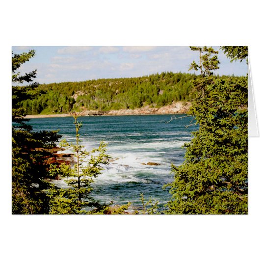 Arcadia National Park Through the Trees Cards (Front Horizontal)