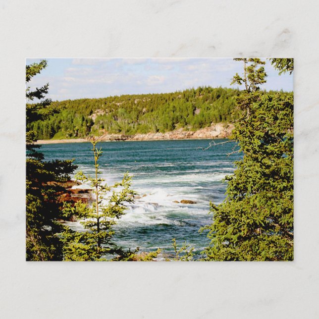 Arcadia National Park Through the Trees Postcard (Front)