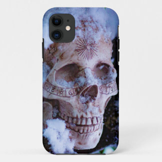 Arcane Winter I iPhone 11 Case