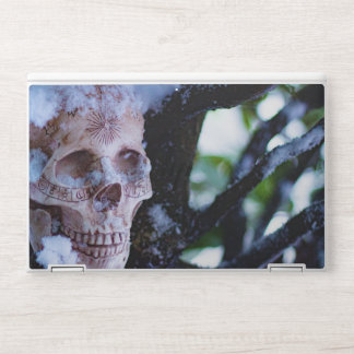 Arcane Winter I HP Laptop Skin