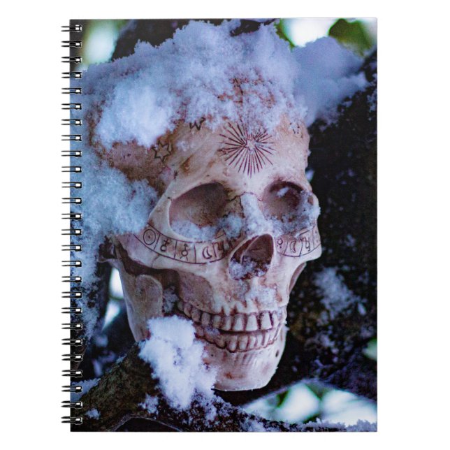 Arcane Winter I Notebook (Front)