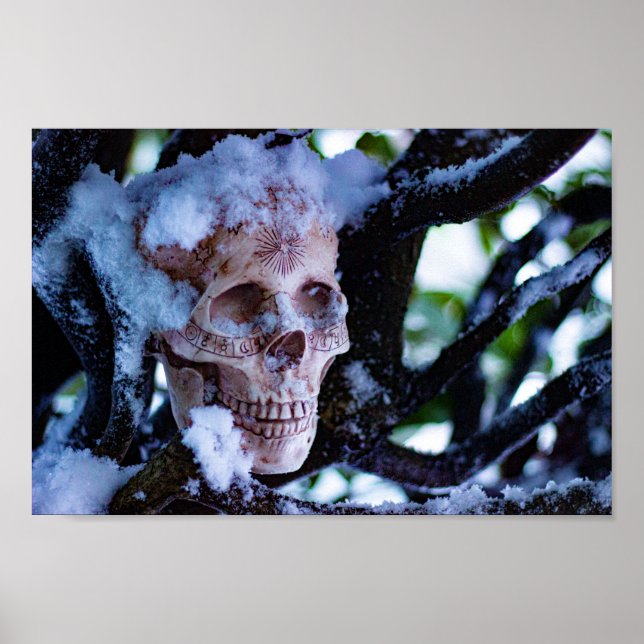 Arcane Winter I Poster (Front)