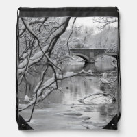 Arch Bridge over Frozen River in Winter