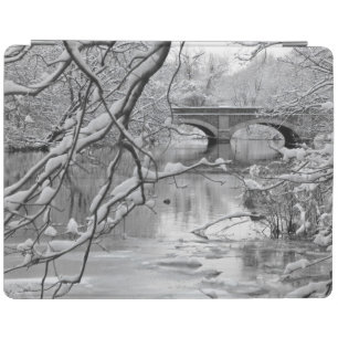 Arch Bridge over Frozen River in Winter iPad Smart Cover