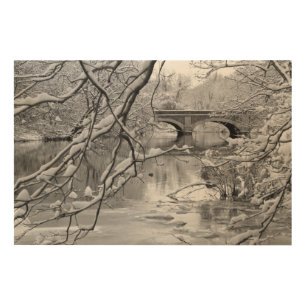 Arch Bridge over Frozen River in Winter Wood Wall Decor