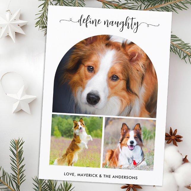 Arch Define Naughty Pet Photo Collage Christmas  Holiday Card (Creator Uploaded)