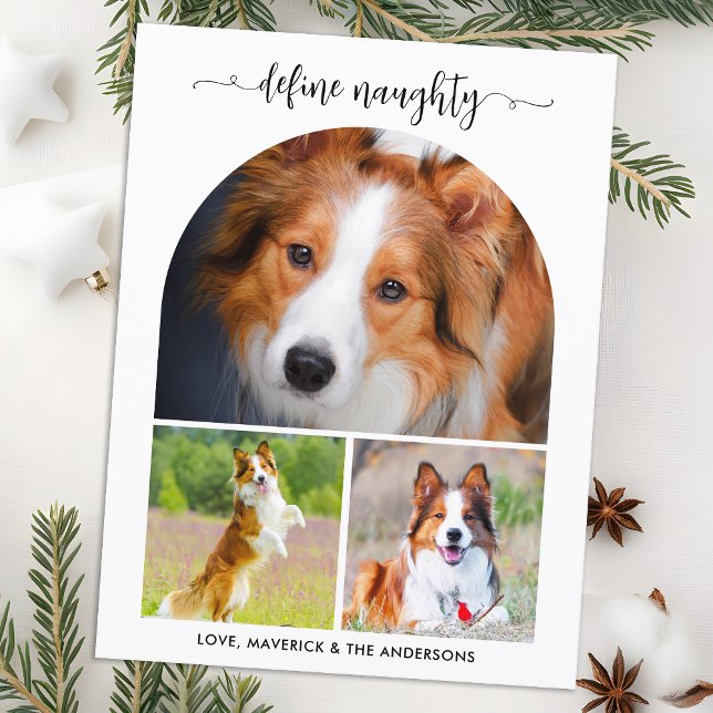 Arch Define Naughty Pet Photo Collage Christmas  Holiday Postcard (Creator Uploaded)