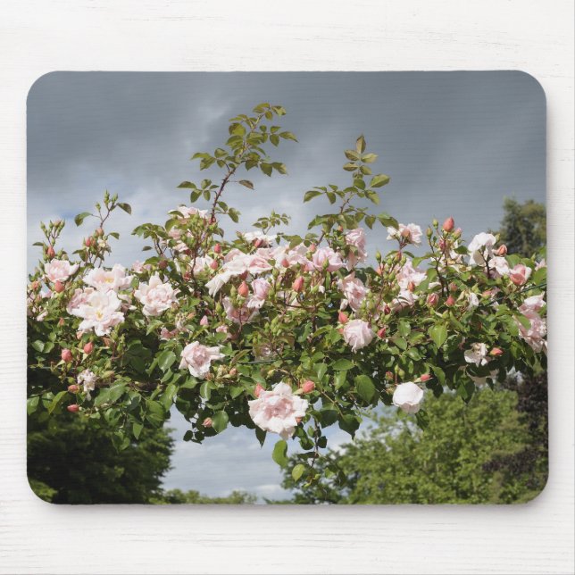 arch of roses mouse pad (Front)